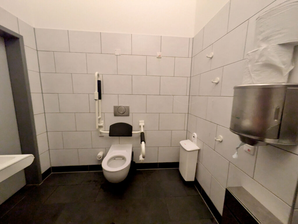 Accessible toilet with lowered grab rails