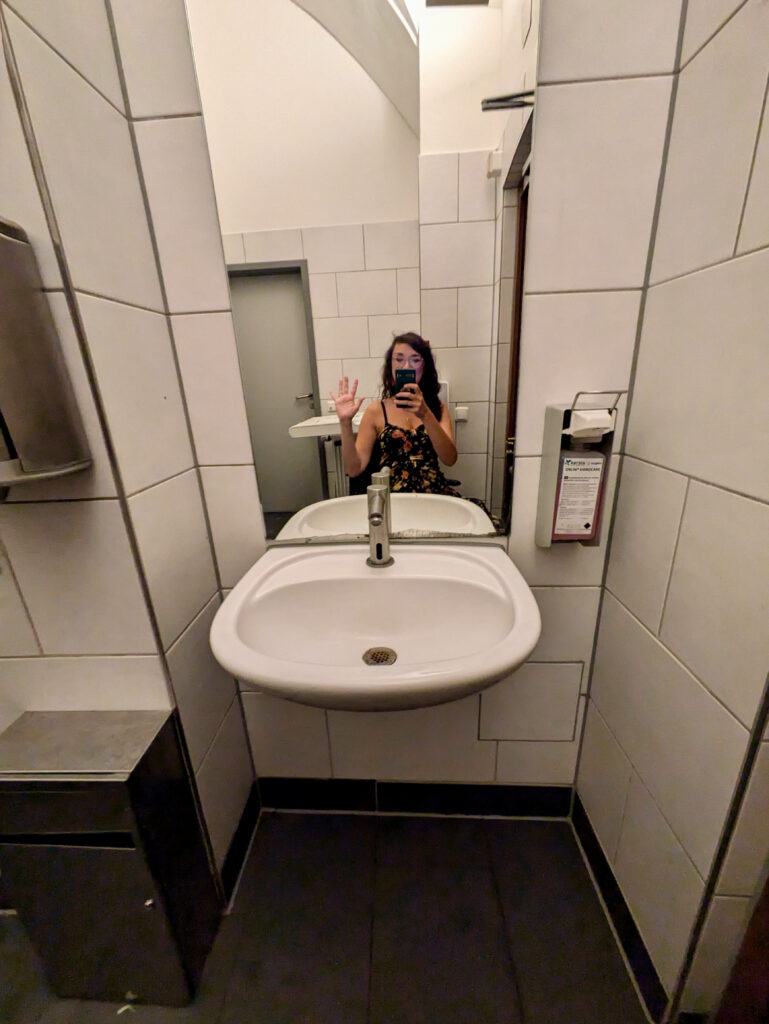 Disabled toilet lowered sink and mirror