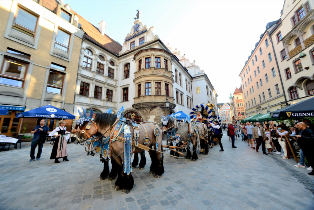 Horses on parade outside the beer tavern, in traditional regalia