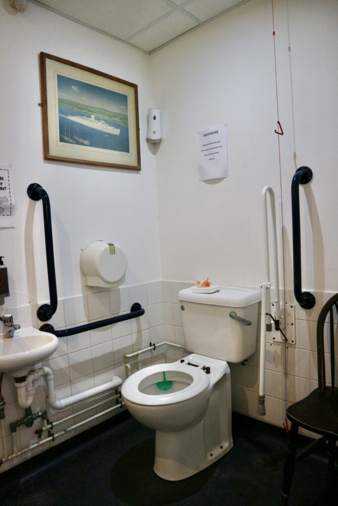 Accessible toilet with grab rails, Seaview Isle of Wight